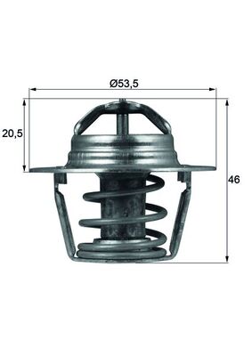 MAHLE Termosztát TX9189D_MAHLE