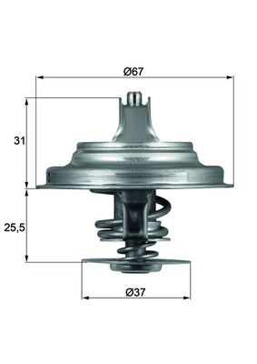 MAHLE Termosztát+O gyűrű TX2587D_MAHLE