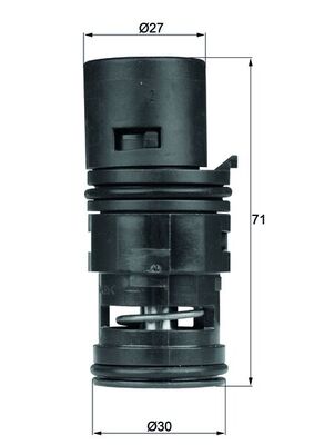 MAHLE Termosztát TO780_MAHLE