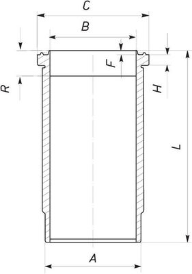 MAHLE Hengerpersely 061WN1100_MAHLE