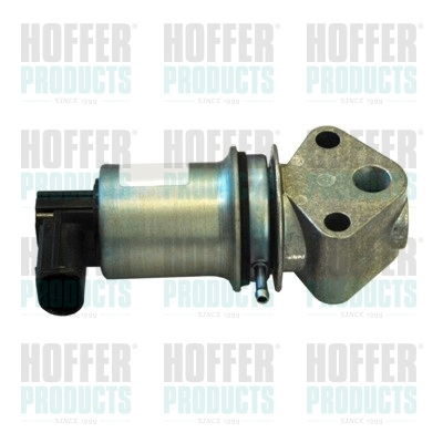 HOFFER EGR szelep 7518009R_HOF