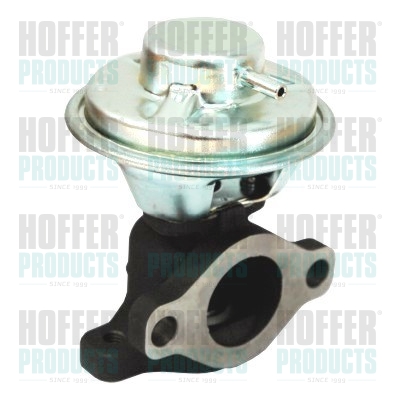 HOFFER EGR szelep 7518134_HOF