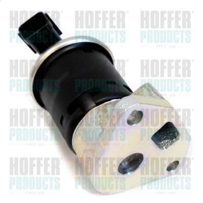 HOFFER EGR szelep 7518264_HOF