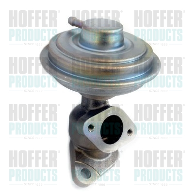 HOFFER EGR szelep 7518313_HOF