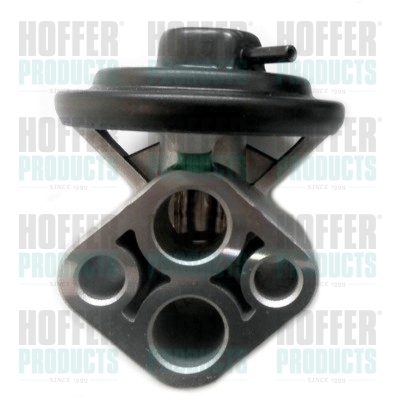 HOFFER EGR szelep 7518347_HOF