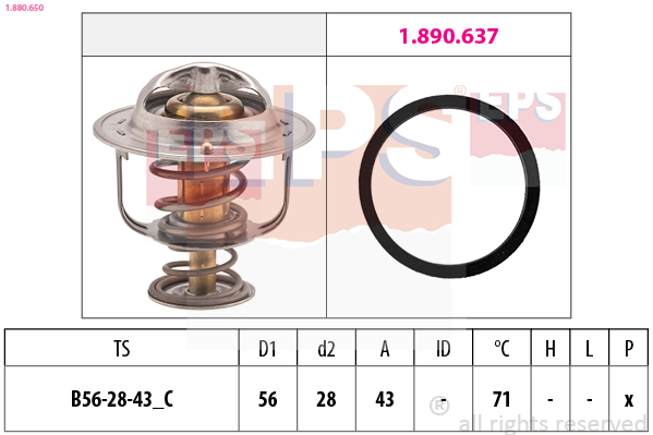 EPS Termosztát+O gyűrű 1.880.650_EPS