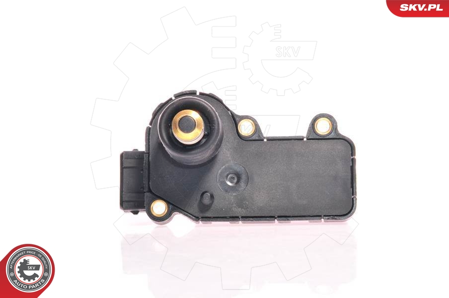 ESEN SKV Fojtószelep motor 08SKV200_SKV