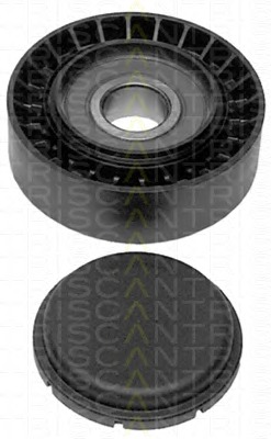 TRISCAN Vezetőgörgő, hosszbordás szíj 8641152009_TRIS