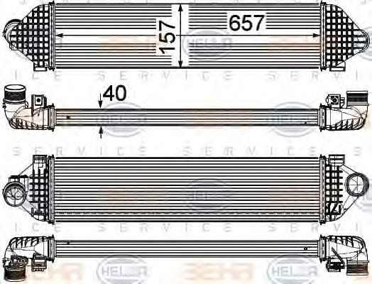 HELLA Töltőlevegő hűtő 8ML376755-631