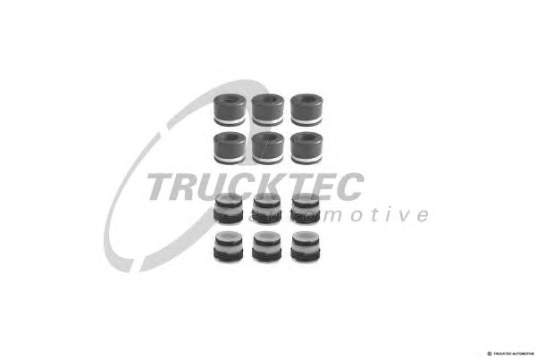 TRUCKTEC Szelepszár szimmering 02.43.009