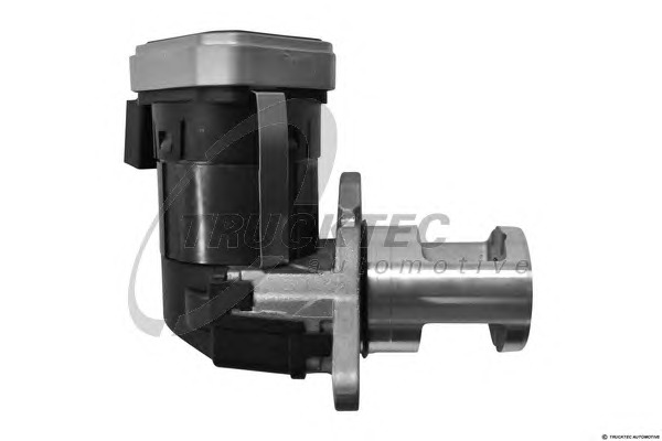 TRUCKTEC EGR szelep 02.16.034