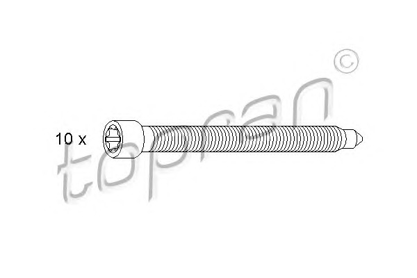 TOPRAN Hengerfej csavar 110181_TOP