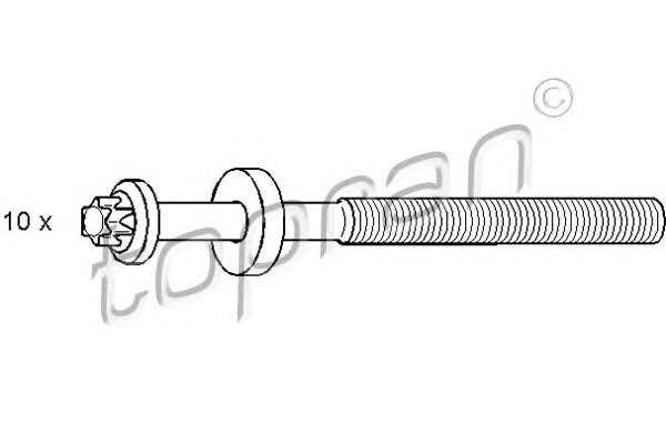 TOPRAN Hengerfej csavar 500369_TOP