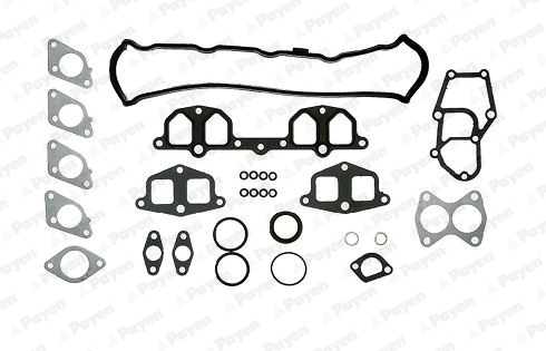 PAYEN Felső tömítéskészlet DM590