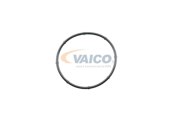 VAICO Vízpumpa V52-50012_VAICO