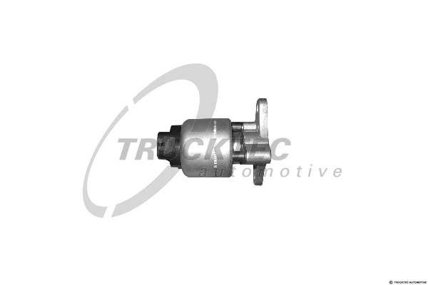 TRUCKTEC EGR szelep 06.14.005