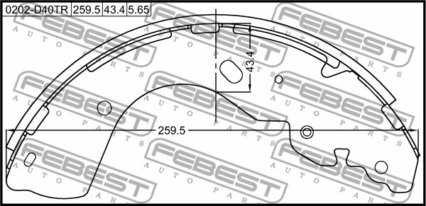 FEBEST Fékpofa 0202-D40TR_FEBEST